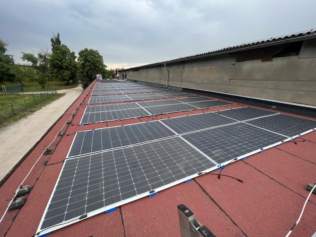 Eine große Dachfläche mit zahlreichen Solarpaneelen unter bewölktem Himmel.
